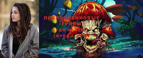 бошки Аркадак