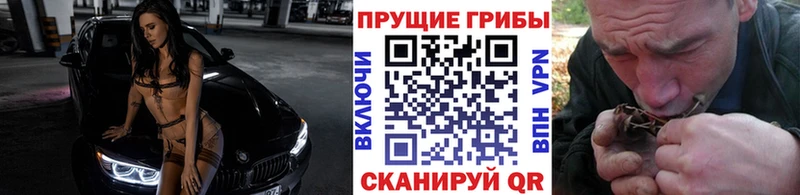 купить  сайты  Олонец  Псилоцибиновые грибы прущие грибы 